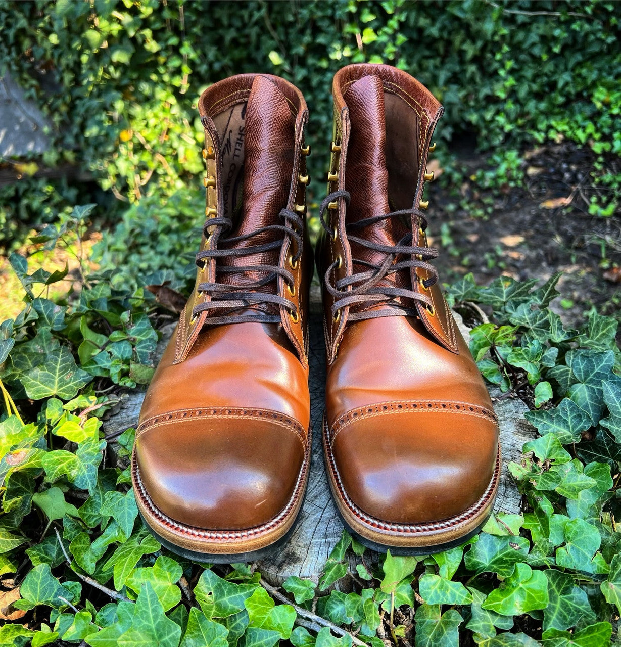 (Closed!) Maryam Brown Shell Cordovan 5515 (Pre-order Deposit)