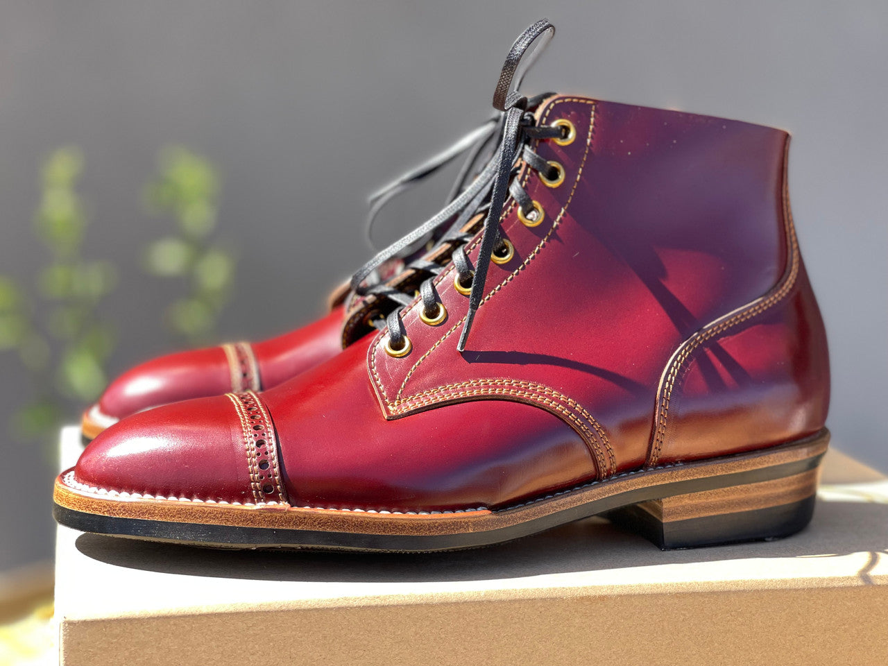 (Closed!) Maryam Ruggine Shell Cordovan Devil Dog (Pre-order Deposit)