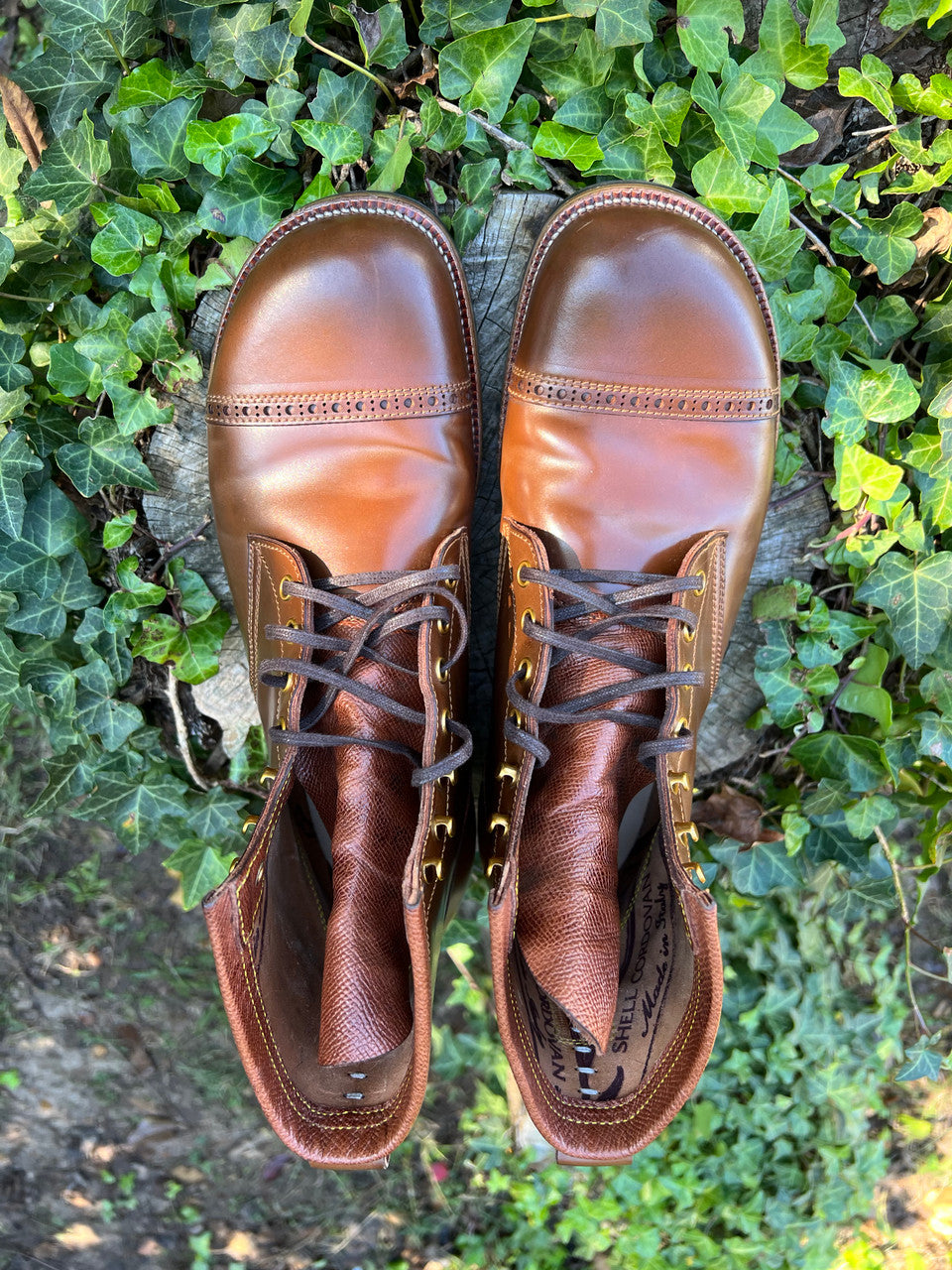 Maryam Brown Shell Cordovan 5515 (Pre-order Deposit) (Closed!)