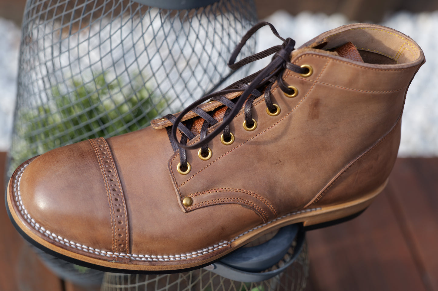 Local Natural Shell Cordovan The Chosen Dog - Size 7D