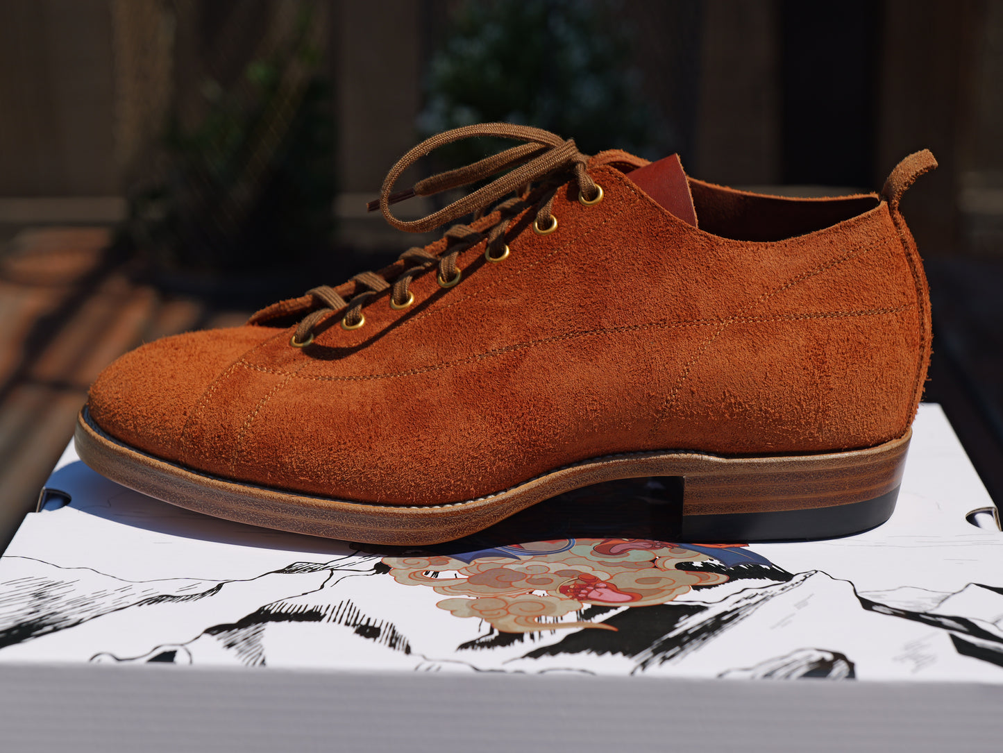 T-Monkey Shoe X Ticho's Roughout leather