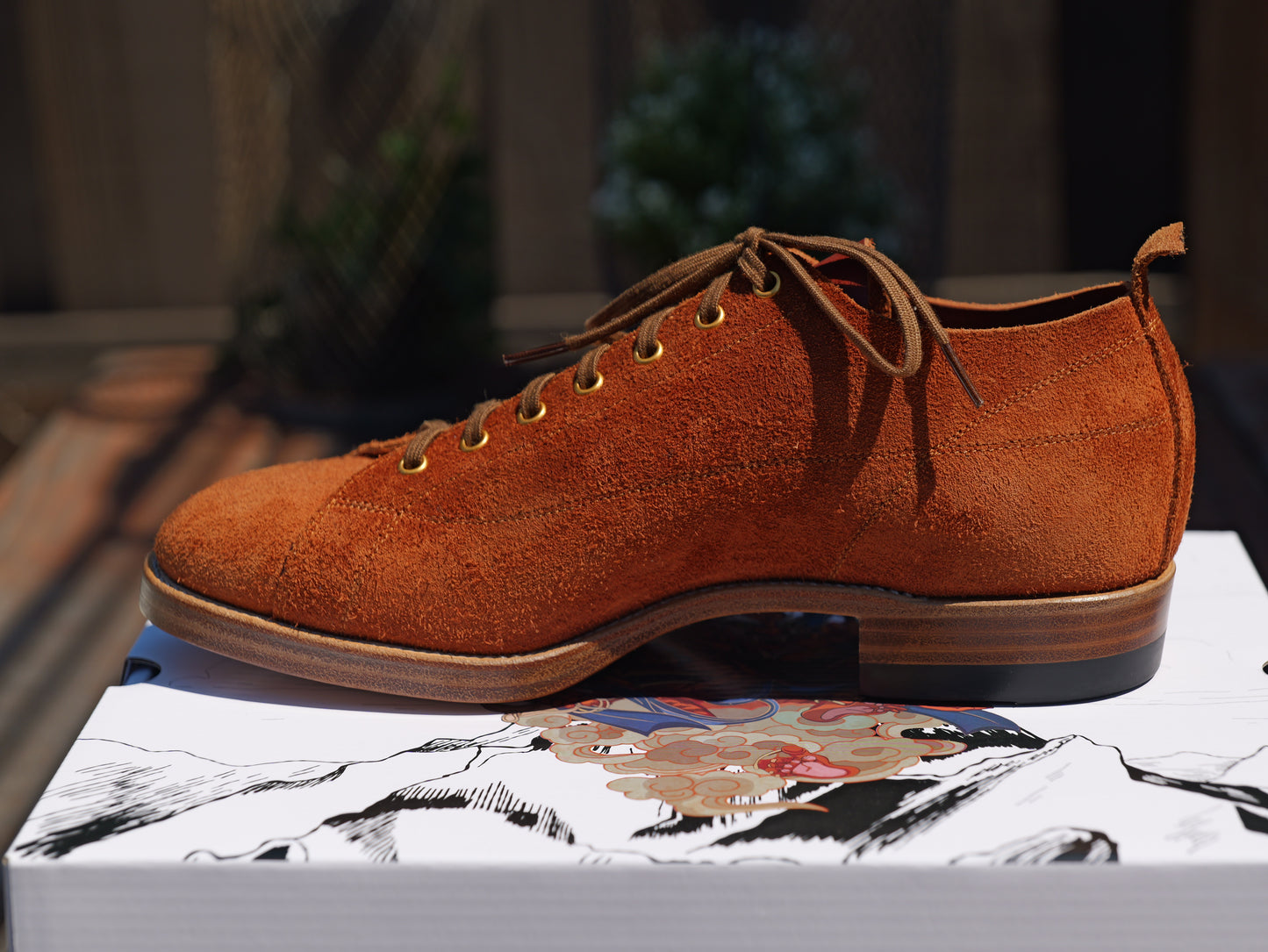 T-Monkey Shoe X Ticho's Roughout leather